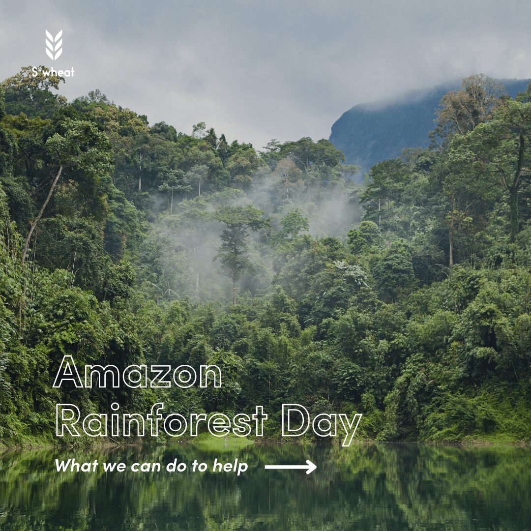 eco friendly environmental day reusable plant-based water bottle