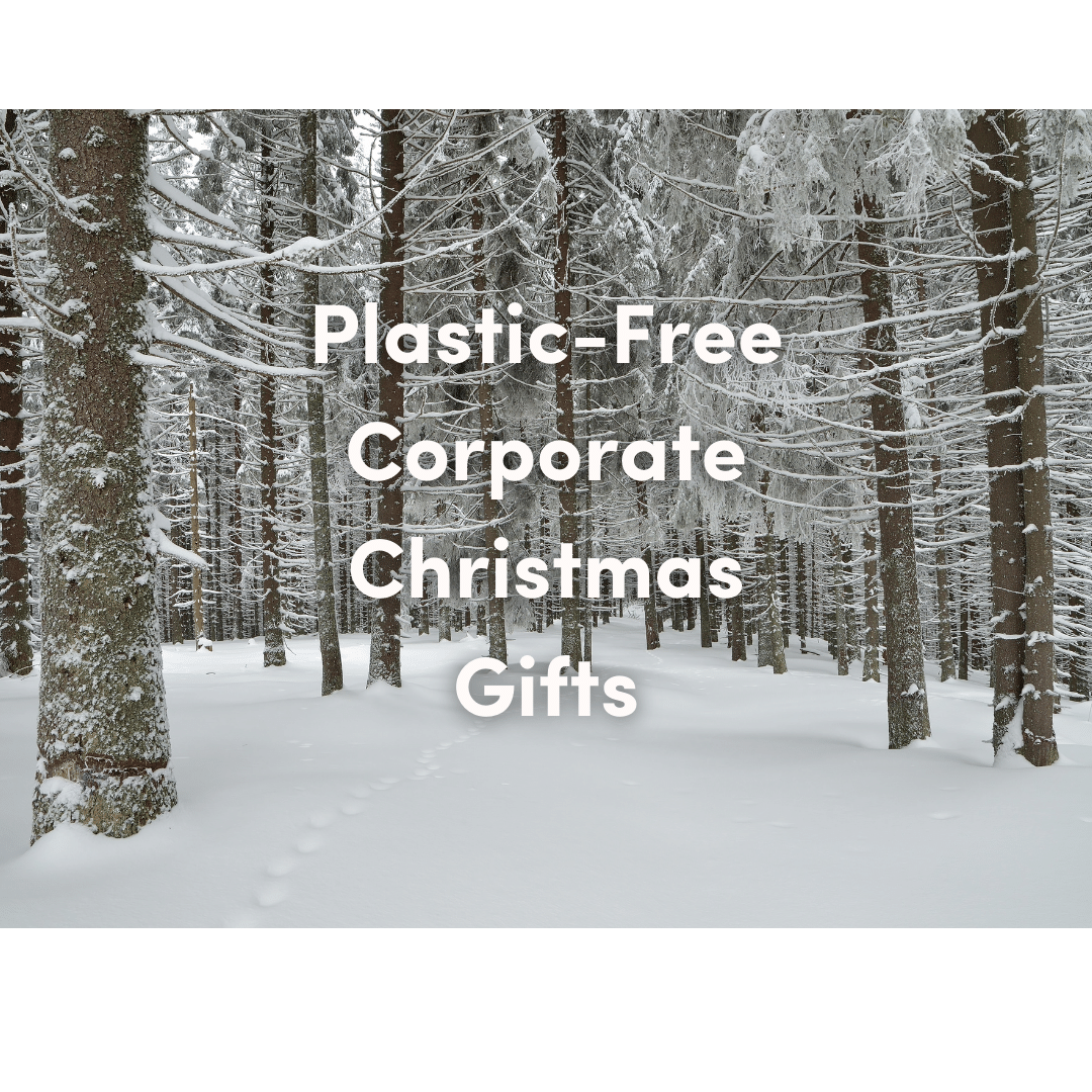 sustainable corporate christmas gifts eco co-branded reusable bottles