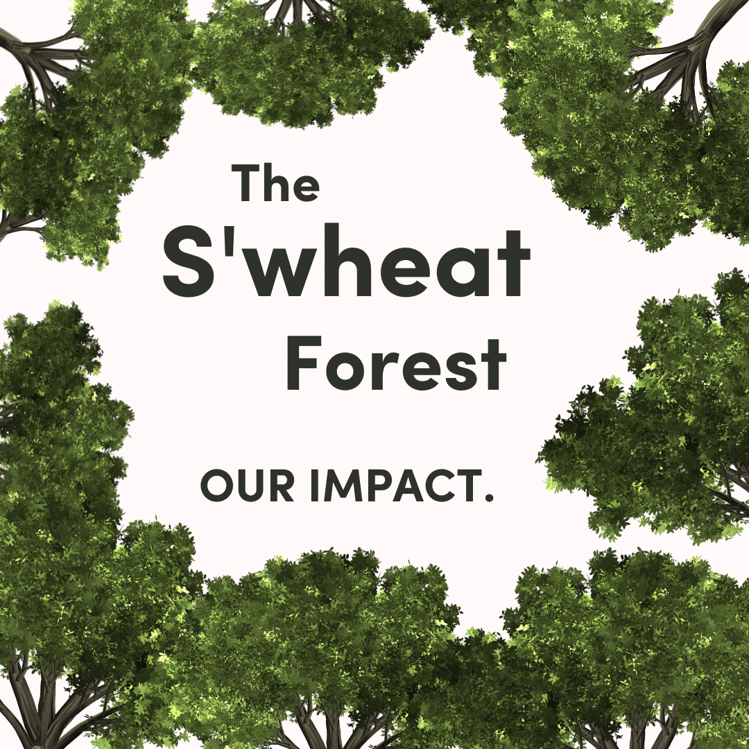 social enterprise tree planting plant-based reusable water bottles