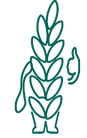 Wheat straw character representing the sustainable materials used in the water bottles