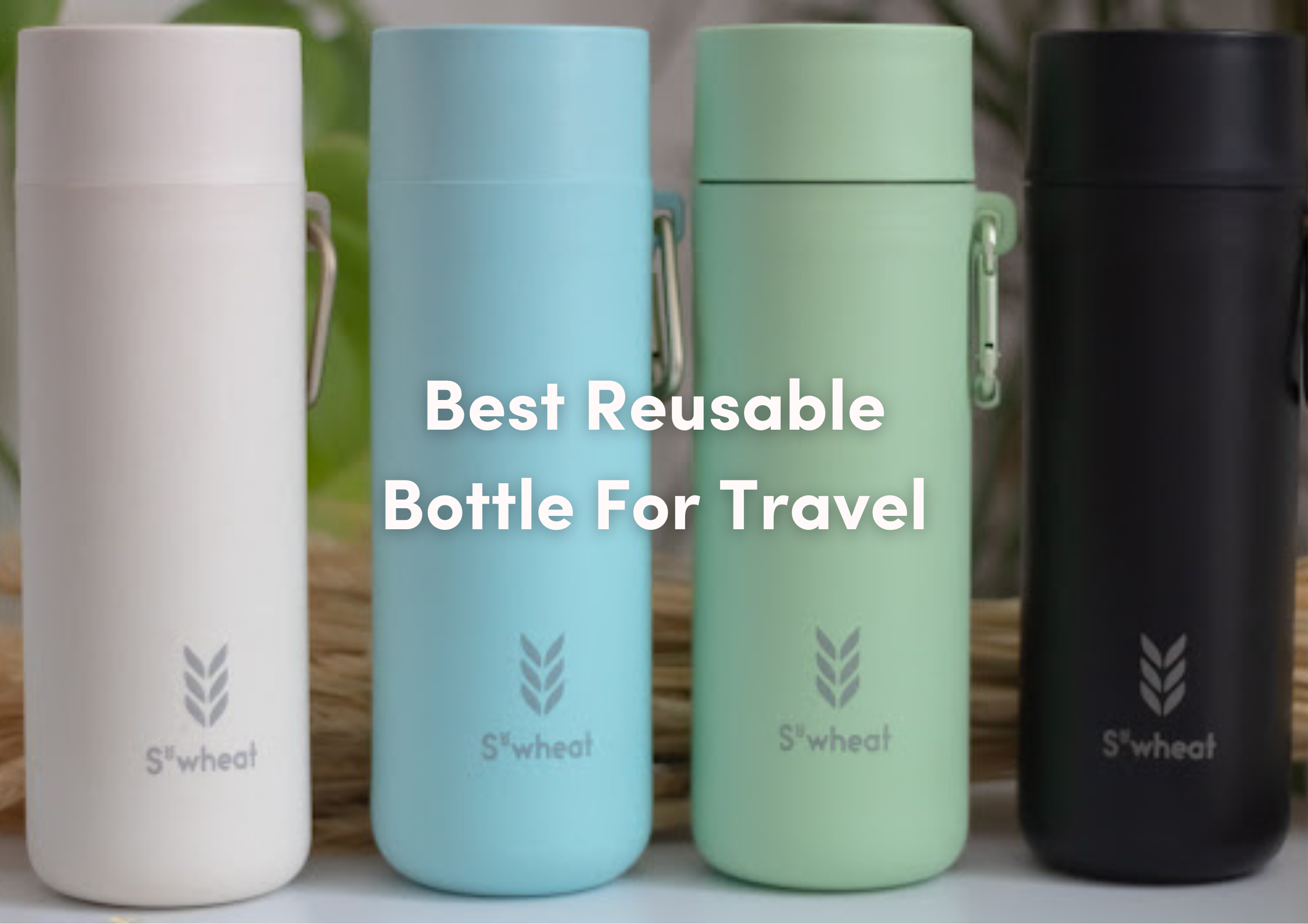 Best Reusable Water Bottle For Travel – S'wheat